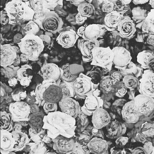 Meet your Posher, Radha